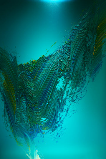 oceanZ l