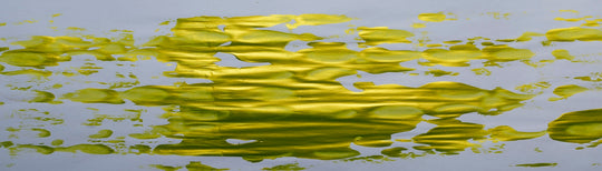 chartreuse