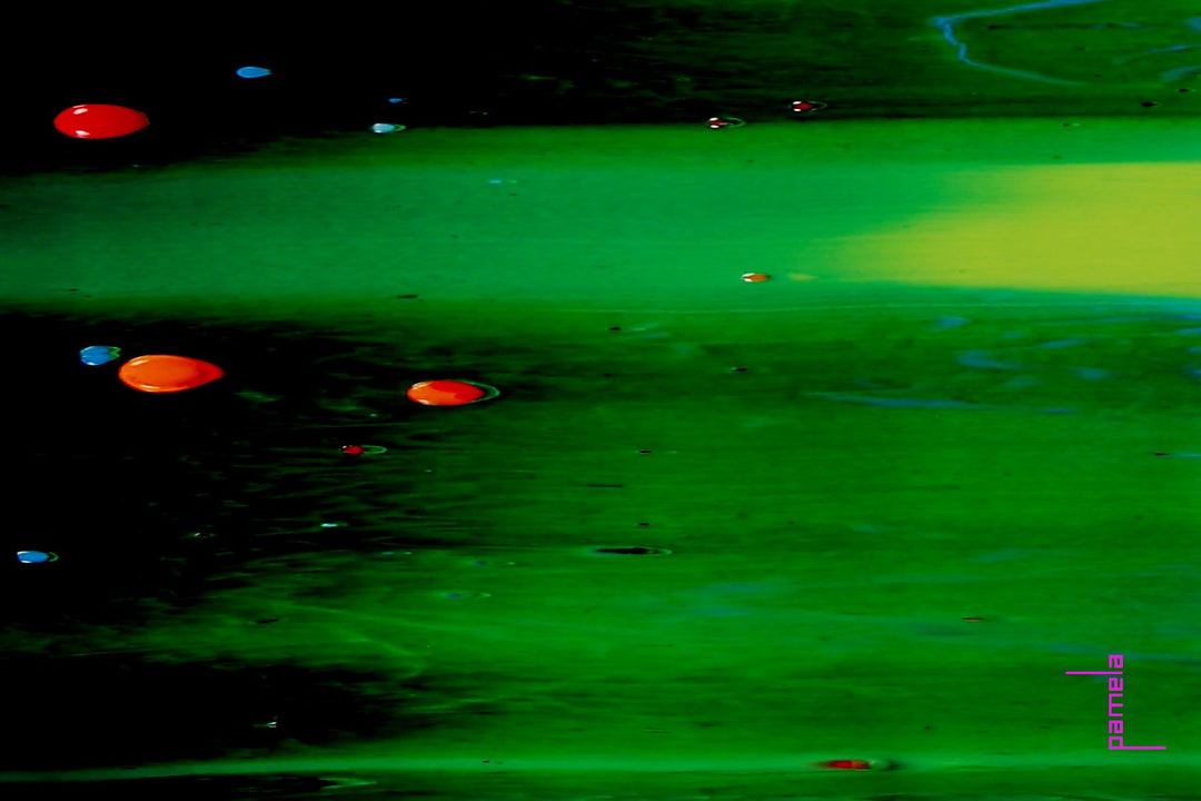 tranZformation - chakraZ™